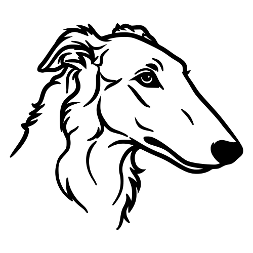 Borzoi Russian Wolfhound - Digital File - XCS Friendly Digital My Custom Designs PDF