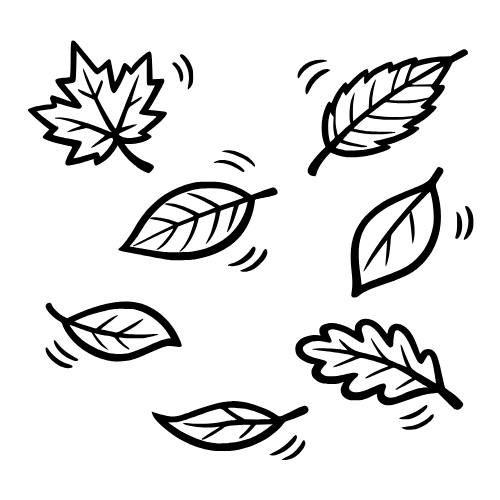 Falling Leaves Sketch - Vector Graphics - Digital File Digital My Custom Designs PDF