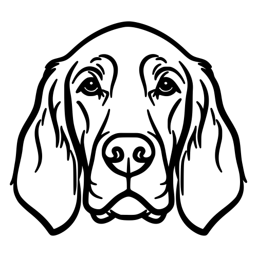 Irish Setter Face - Digital File - XCS Friendly Digital My Custom Designs PDF