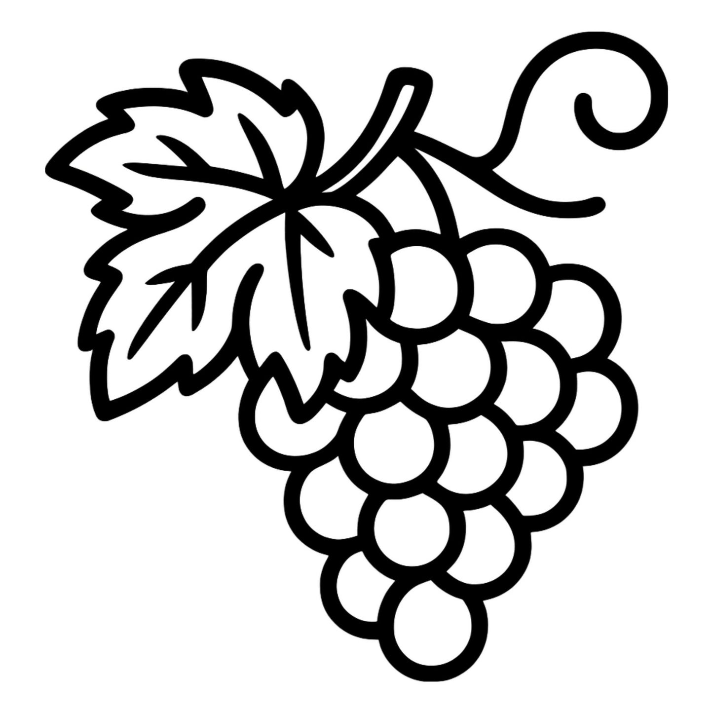 Grapes With Vine Illustration - Digital File - XCS Friendly Tumbler My Custom Designs PNG