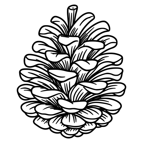 Pinecone Sketch - Digital File - XCS Friendly Digital My Custom Designs PDF