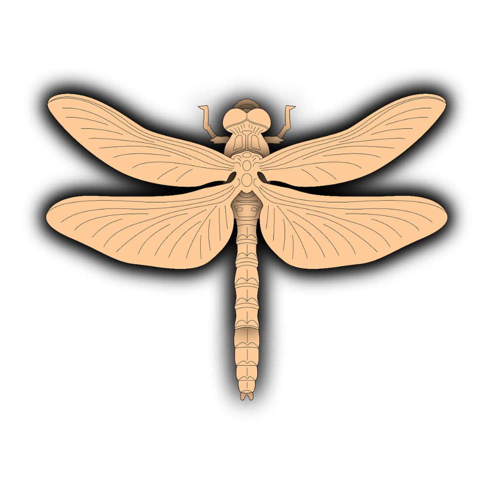 Dragonfly - Layered Animal Designs - Digital File Digital My Custom Designs SVG