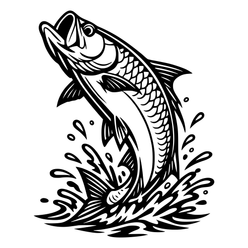 Tarpon Leaping From the Water - Vector Graphics - Digital File Digital My Custom Designs PDF