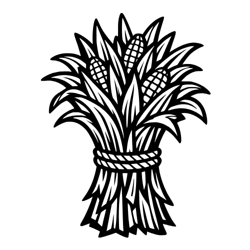 Corn Stalk Bundle - Vector Graphics - Digital File Digital My Custom Designs PDF
