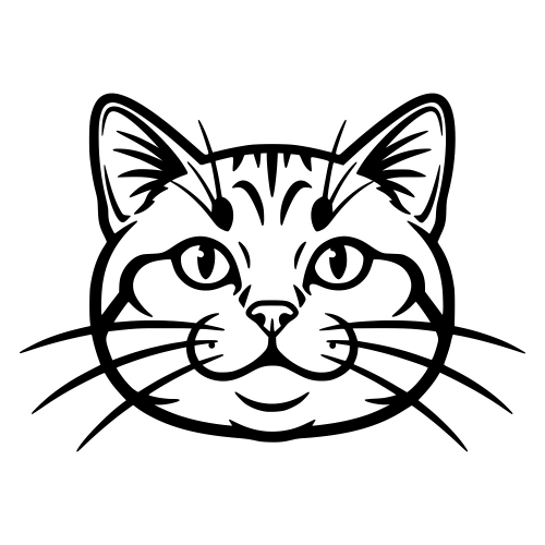 Minuet Napoleon Face - Digital File - XCS Friendly