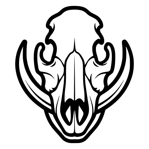 Wild Hog Skull Outline - Digital File - XCS Friendly Digital My Custom Designs PDF