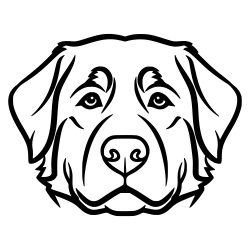 Bernese Mountain Dog face - Digital File - XCS Friendly Digital My Custom Designs PDF