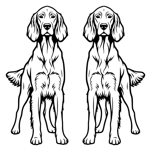 Irish Setter - Digital File - XCS Friendly Digital My Custom Designs PDF