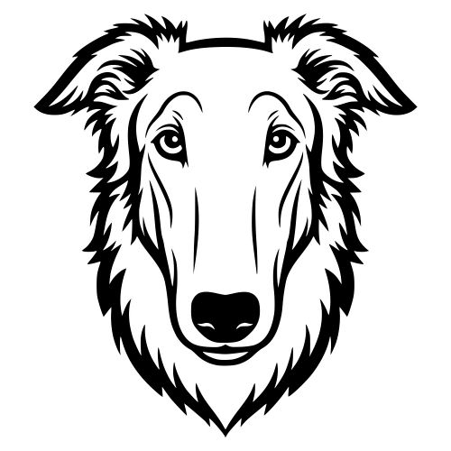 Borzoi Russian Wolfhound Face - Digital File - XCS Friendly Digital My Custom Designs PDF