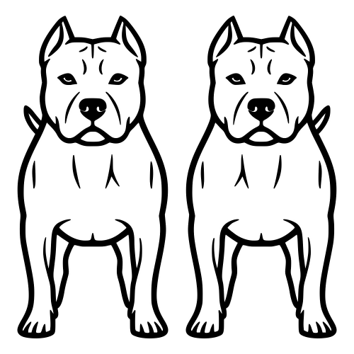 American Pit Bull Terrier - Digital File - XCS Friendly Digital My Custom Designs PDF