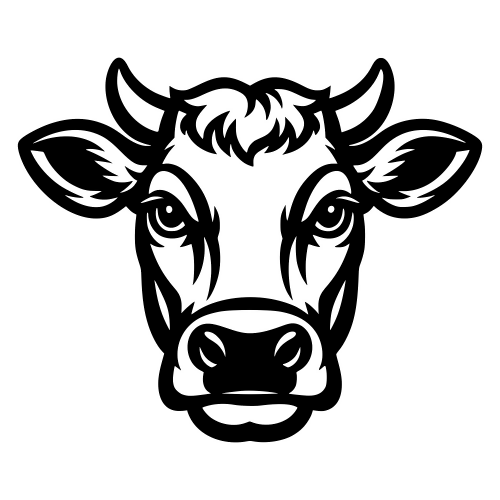 Cow Face - Vector Graphics - Digital File Digital My Custom Designs PDF
