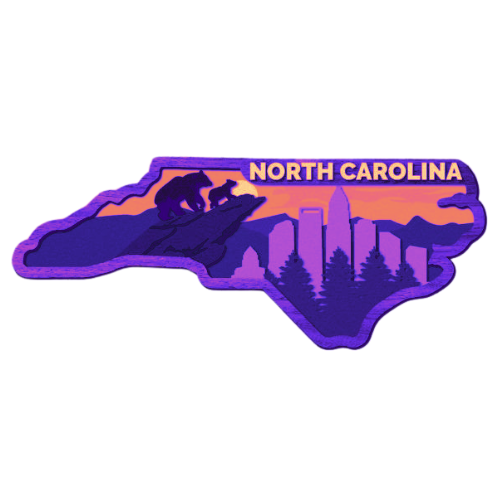 Layered State North Carolina Outline Home Décor decoration My Custom Designs Hot Pink 12" x 5"