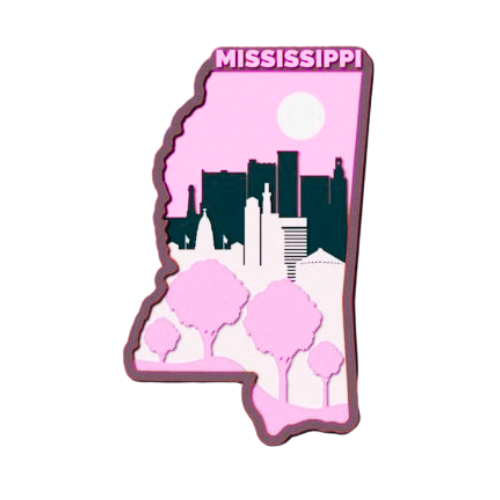 Layered State Mississippi Home Décor decoration My Custom Designs Pink 12"