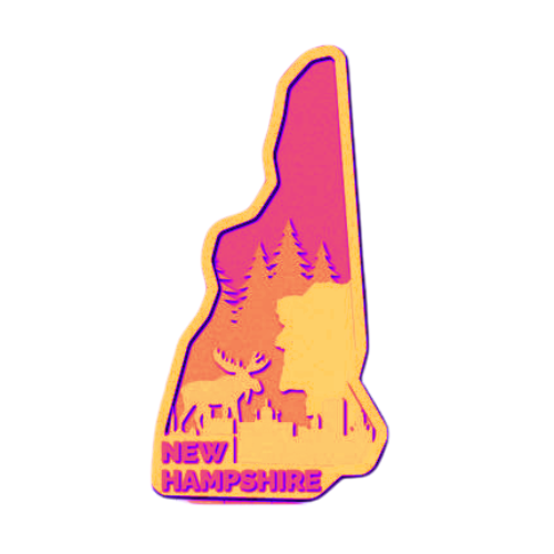 Layered State New Hampshire Home Décor decoration My Custom Designs Hot Pink 12"