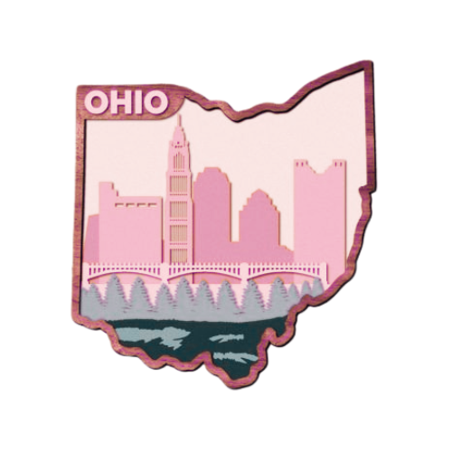 Layered State Ohio Home Décor decoration My Custom Designs Pink 12"