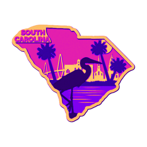 Layered State South Carolina Home Décor decoration My Custom Designs Hot Pink 12"