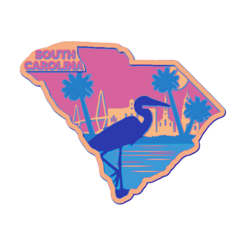 Layered State South Carolina Home Décor decoration My Custom Designs Coral 12"
