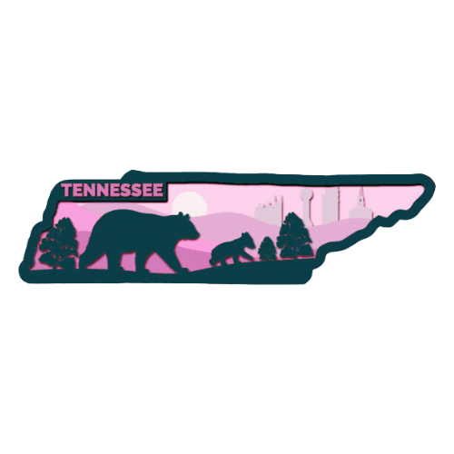 Layered State Tennessee Home Décor decoration My Custom Designs Pink 12"