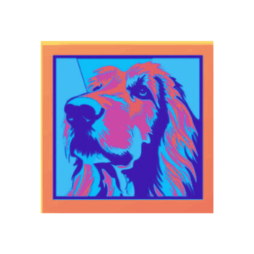 Custom Dog Retriever Shadow box w/ LED Option My Custom Designs Coral Included 12"