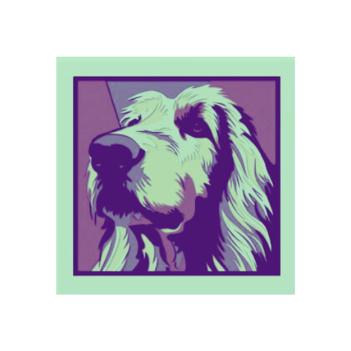 Custom Dog Retriever Shadow box w/ LED Option My Custom Designs Seafoam Included 12"
