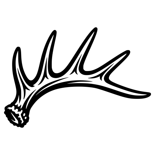 Shed Antler Vector Illustration Digital My Custom Designs PDF