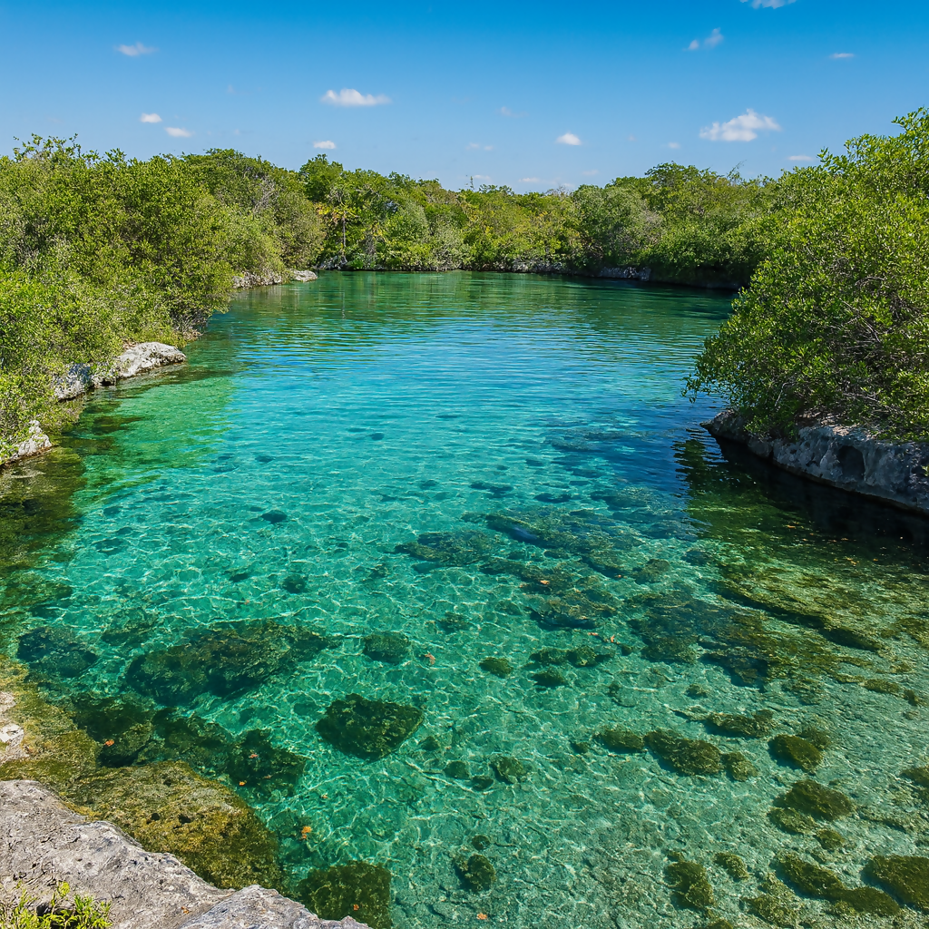 Xel-Há Xel-Há Natural Water Park (Parque Xel-Há) - Quintana Roo Mexico - Rendered - Digital File Digital My Custom Designs PDF