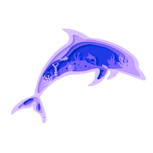 Layered 3D Dolphin Wall Décor decoration My Custom Designs