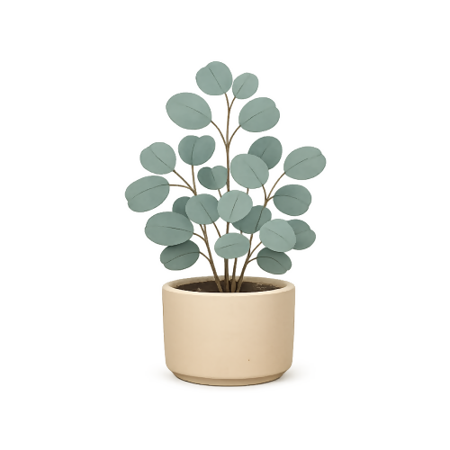 Eucalyptus Plant - Art & Aesthetics - T Shirt Designs - Digital File Digital My Custom Designs 300 DPI PNG