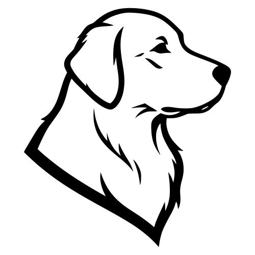 Golden Retriever Sideview - Digital File - XCS Friendly Digital My Custom Designs PDF