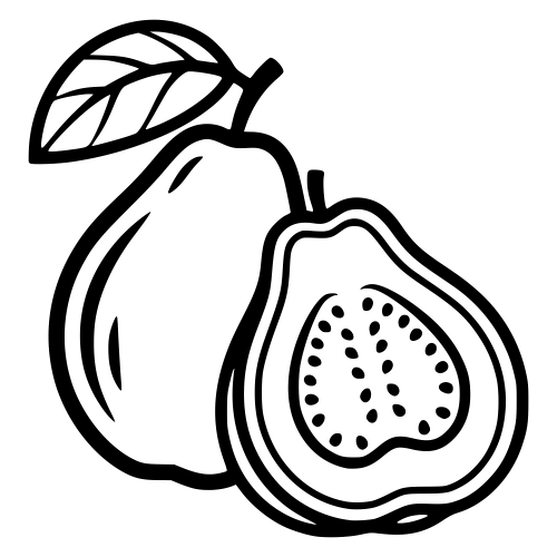 Guava Illustration - Digital File - XCS Friendly Digital My Custom Designs PDF