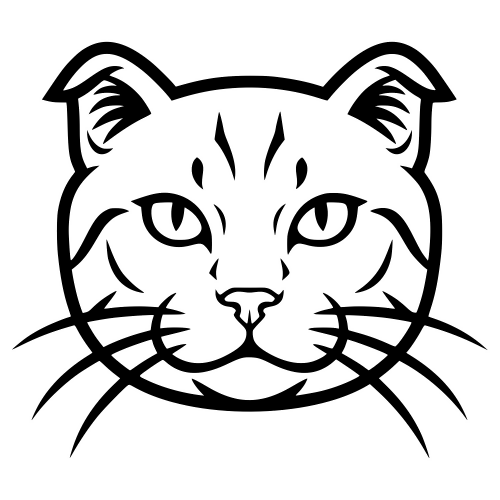 Highlander Cat Sketch Face - Digital File - XCS Friendly Digital My Custom Designs PDF