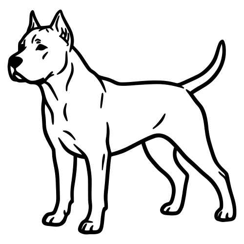 Dogo Argentino Outline - Digital File - XCS Friendly Digital My Custom Designs PDF