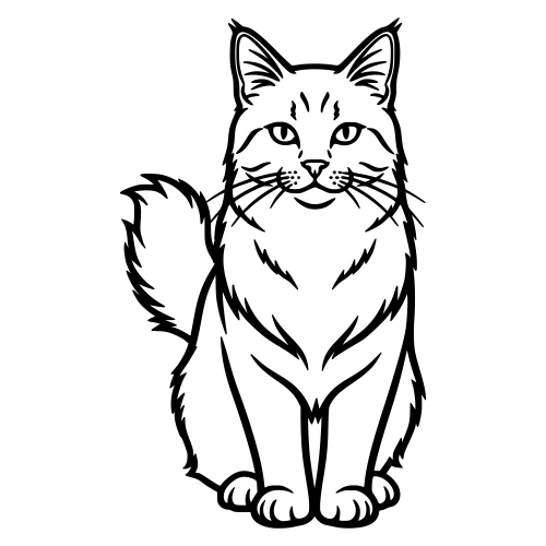 Asian Semi-Longhair Sketch - Digital File - XCS Friendly Digital My Custom Designs PDF