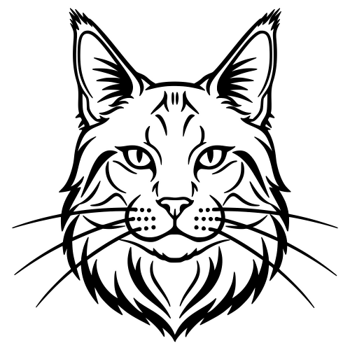 Maine Coon Face - Digital File - XCS Friendly Digital My Custom Designs PDF