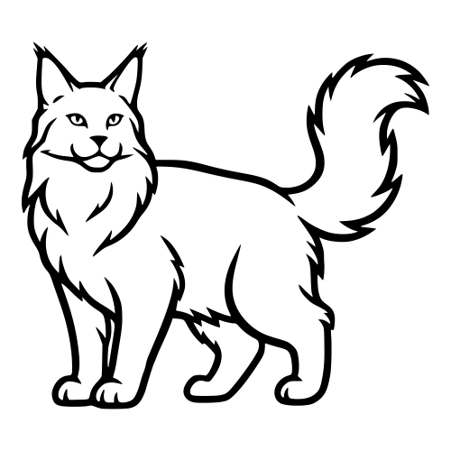 Maine Coon Outline - Digital File - XCS Friendly Digital My Custom Designs PDF