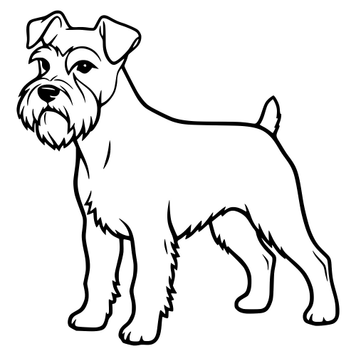 Miniature Schnauzer - Digital File - XCS Friendly Digital My Custom Designs PDF