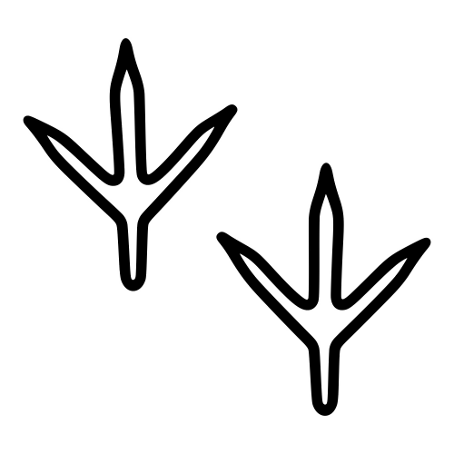 Chick Footprints Outline - Digital File - XCS Friendly Digital My Custom Designs PDF