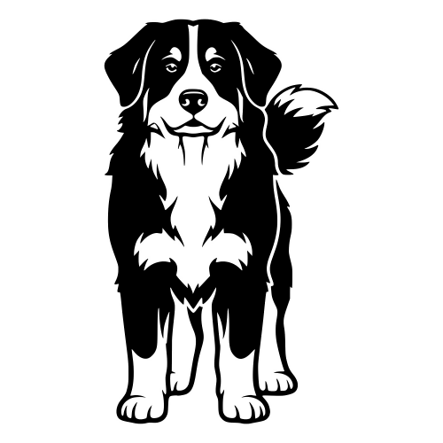Bernese Mountain Dog - Digital File - XCS Friendly Digital My Custom Designs PDF