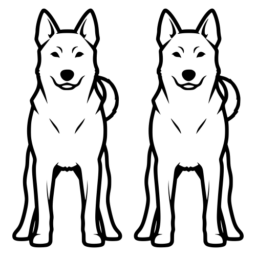 Norwegian Elkhound Outline - Digital File - XCS Friendly Digital My Custom Designs PDF