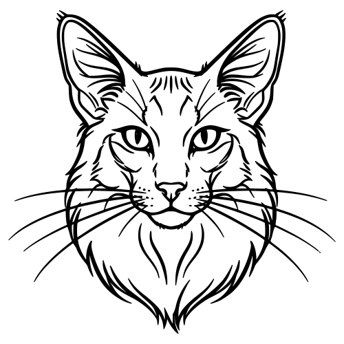Oriental Longhair Sketch - Digital File - XCS Friendly Digital My Custom Designs PDF