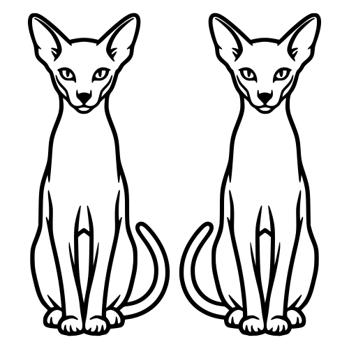 Oriental Shorthair - Digital File - XCS Friendly Digital My Custom Designs PDF