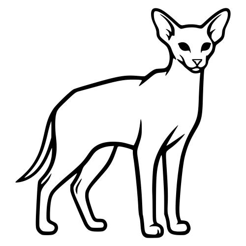Oriental Shorthair Silhouette - Digital File - XCS Friendly Digital My Custom Designs PDF