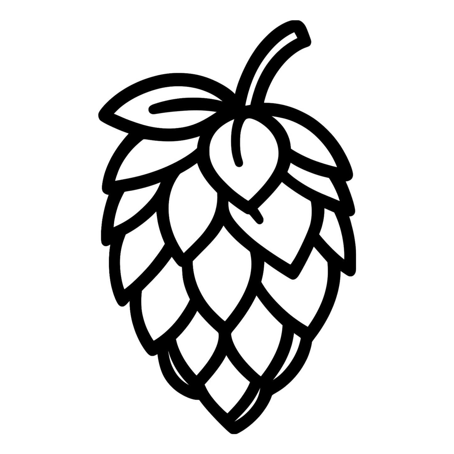 Hops illustration - Digital File - XCS Friendly Tumbler My Custom Designs PNG