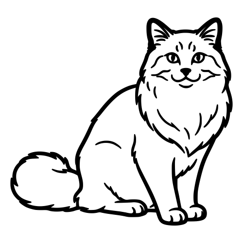 Ragdoll Cat Outline - Digital File - XCS Friendly Digital My Custom Designs PDF