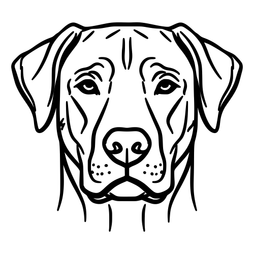 Rhodesian Ridgeback Face - Digital File - XCS Friendly Digital My Custom Designs PDF