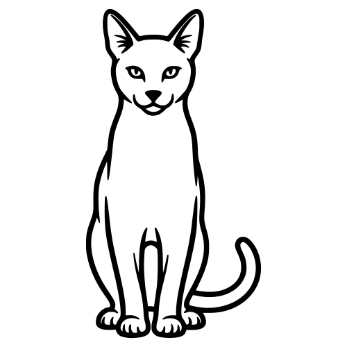 Chausie Outline - Vector Graphics - Digital File Digital My Custom Designs PDF