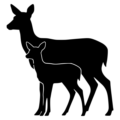 Doe with Fawn Silhouette Design - Digital File - XCS Friendly Digital My Custom Designs PDF