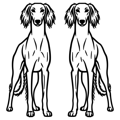 Saluki Silhouette - Digital File - XCS Friendly Digital My Custom Designs PDF