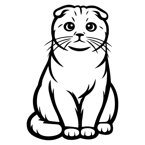 Scottish Fold - Digital File - XCS Friendly Digital My Custom Designs PDF