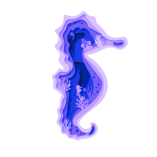 Layered 3D Seahorse Wall Décor decoration My Custom Designs